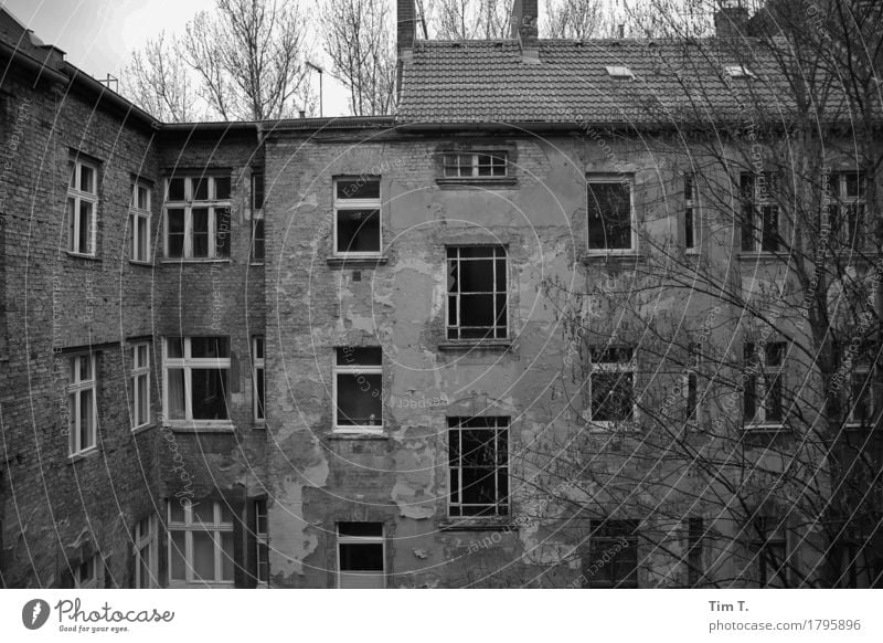 Backyard Berlin Prenzlauer Berg Senior citizen Courtyard Black & white photo Exterior shot Deserted Day