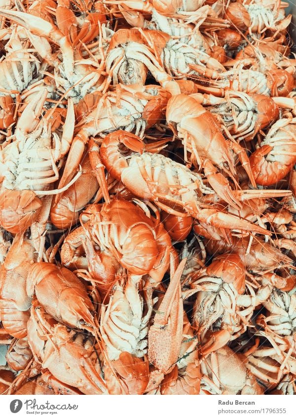Lobsters And Shrimps For Sale In Fish Market Food Meat Seafood Nutrition Eating Lunch Dinner Organic produce Diet Healthy Eating Ocean Animal Group of animals
