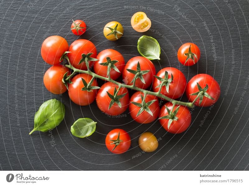 Fresh cherry tomatoes and basil Vegetable Herbs and spices Vegetarian diet Diet Dark Healthy Natural Green Red Tradition Basil cooking Italian food health