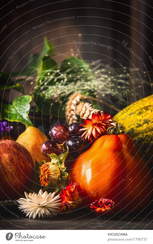Harvesting fruit and vegetables on a rustic kitchen table Food Vegetable Fruit Apple Nutrition Banquet Organic produce Vegetarian diet Diet Lifestyle Style