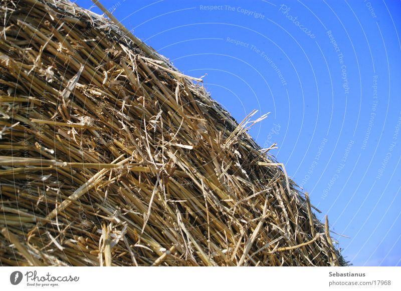 1/48 Straw bales Bale of straw Feed Blue sky Harvest