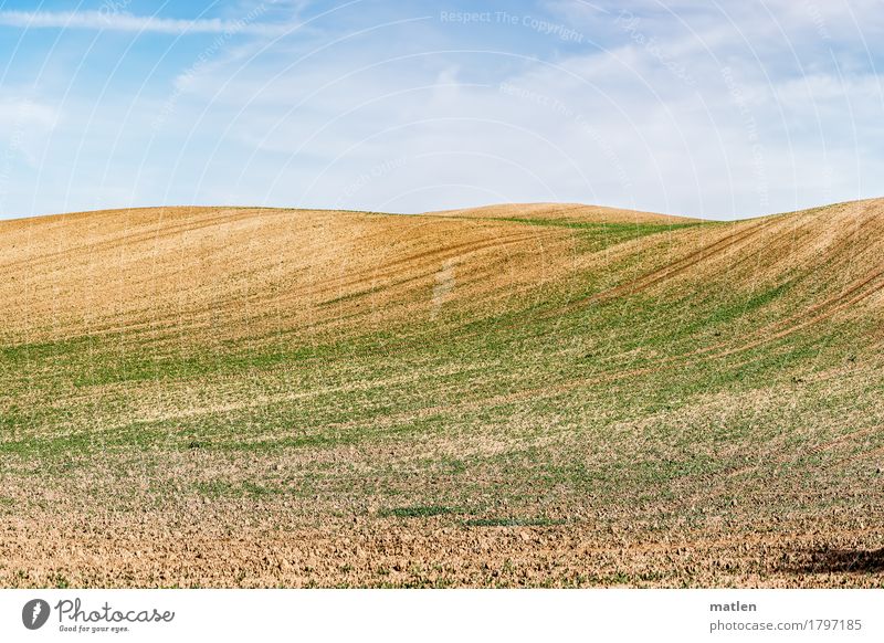autumnal terminal moraine Landscape Sky Clouds Autumn Weather Beautiful weather Plant Agricultural crop Field Blue Brown Green White Moraine Curved Colour photo