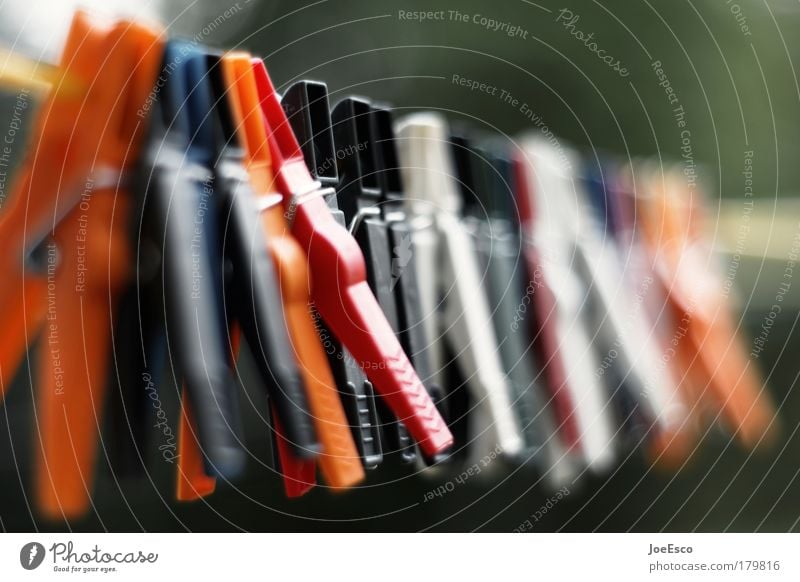 collective dependence Colour photo Exterior shot Close-up Detail Blur Shallow depth of field Living or residing Flat (apartment) Gardening Clothing Clothesline