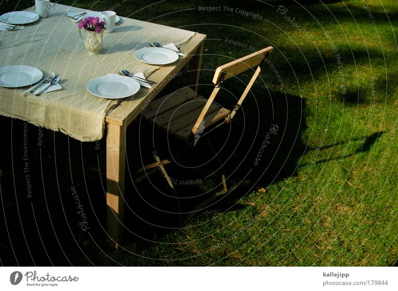 garden concert Colour photo Multicoloured Exterior shot Copy Space right Day Light Shadow Contrast Bird's-eye view Nutrition To have a coffee Coffee Crockery