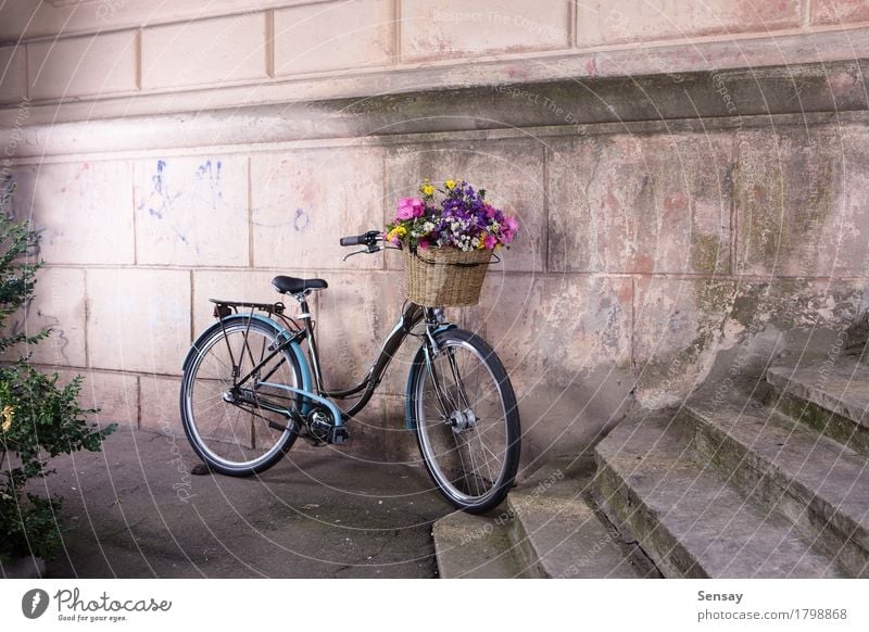 bike with a basket of flowers at the old wall Style Design Beautiful Vacation & Travel Decoration Nature Flower Small Town Architecture Transport Street Old