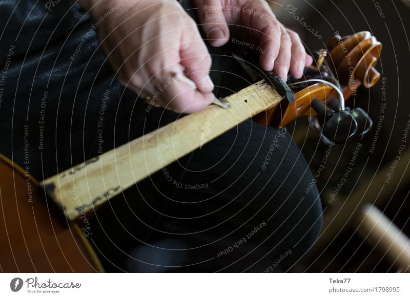 Violin making I Style Music Profession Craftsperson Workplace Human being Hand Art Artist Beginning Esthetic violin making violin maker Colour photo Studio shot