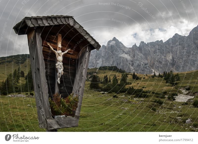 crucifix Nature Landscape Clouds Weather Bad weather Tree Grass Alps Mountain Peak Wood Sign Old Brown Green Belief Religion and faith Calm Christian cross