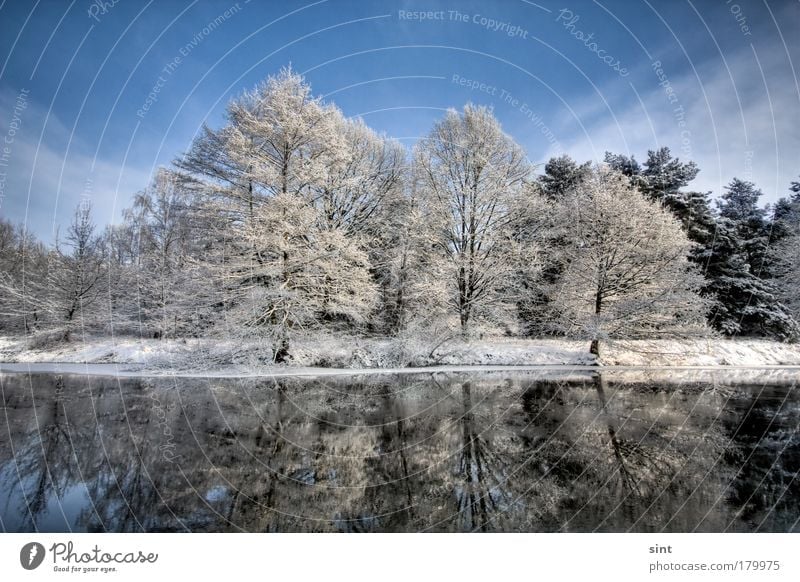 snow at the lake Colour photo Exterior shot Deserted Copy Space top Day Sunlight Deep depth of field Wide angle Winter Snow Winter vacation Nature Landscape
