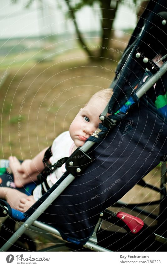 skepticism Baby 0 - 12 months Sit Brash Small Contentment Boredom Baby carriage Childlike Colour photo Exterior shot Day Shallow depth of field