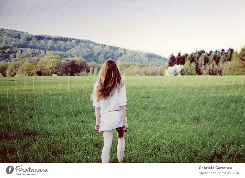 run, before time takes your dreams away Colour photo Exterior shot Morning Looking back Looking away Feminine Hair and hairstyles Legs Landscape Earth Field