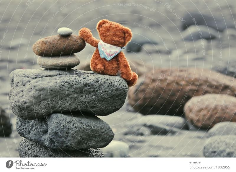 Teddy Per in Iceland (3) Playing Vacation & Travel Beach Nature Coast Teddy bear Stone Cairn Troll Looking Sit Together Happy Small Joy Contentment Romance Calm