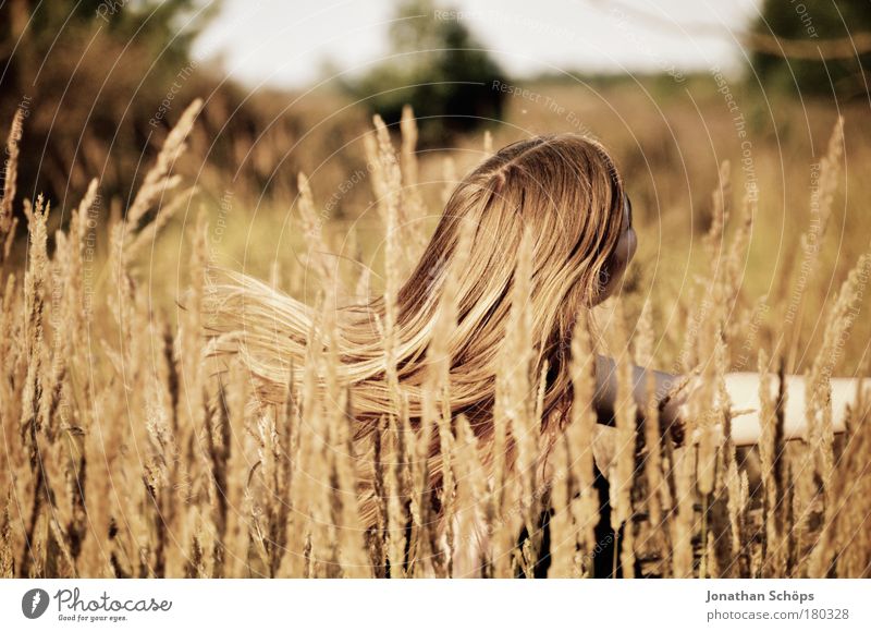 The hair swing in the field - young woman swings hair Colour photo Exterior shot Light Sunlight Shallow depth of field Looking back Looking away Lifestyle Joy