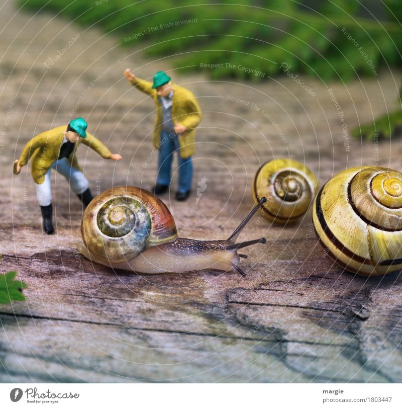 Miniwelten - Will you probably... Human being Masculine Man Adults 2 Animal Wild animal Snail 3 Scream Yellow Green Snail shell Snail slime Spiral Beat Feeler