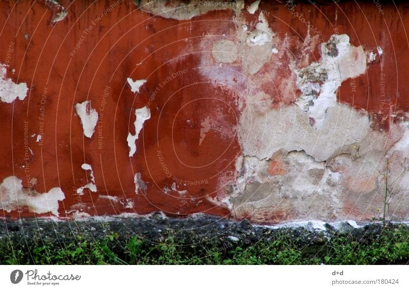 ___ Deserted House (Residential Structure) Wall (barrier) Wall (building) Old Trashy Destruction Plaster Flake off Unkempt old red Nugget Mold Colour photo