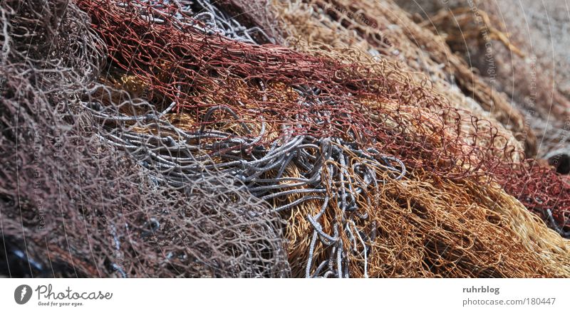 Fishing nets in the port of La Ciotat, France Colour photo Exterior shot Detail Abstract Pattern Structures and shapes Day Light Harbour Fishing village Net