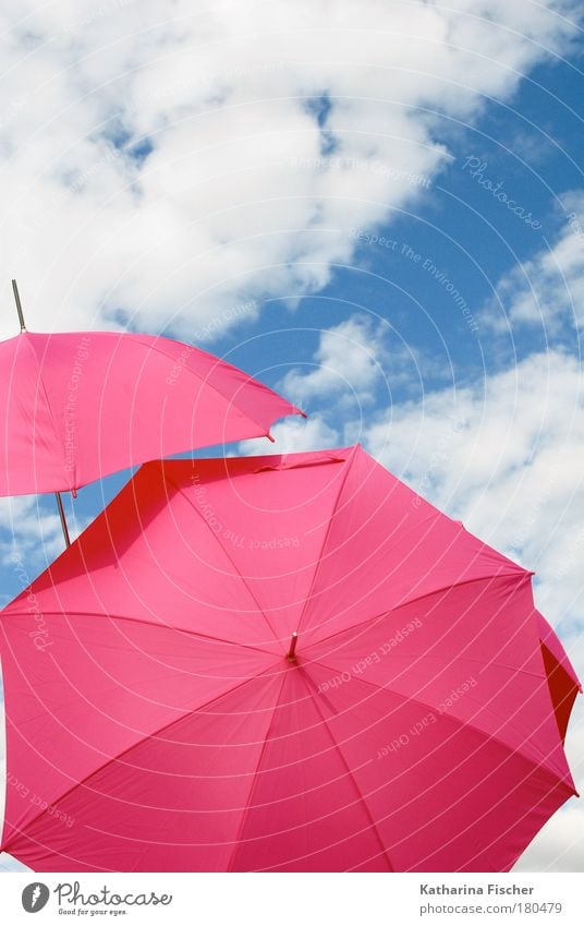Where the pinkies go Joy Summer Sun Art Environment Sky Clouds Sunlight Climate Weather Beautiful weather Wind Warmth Blue Pink White Umbrella Sunshade Comical
