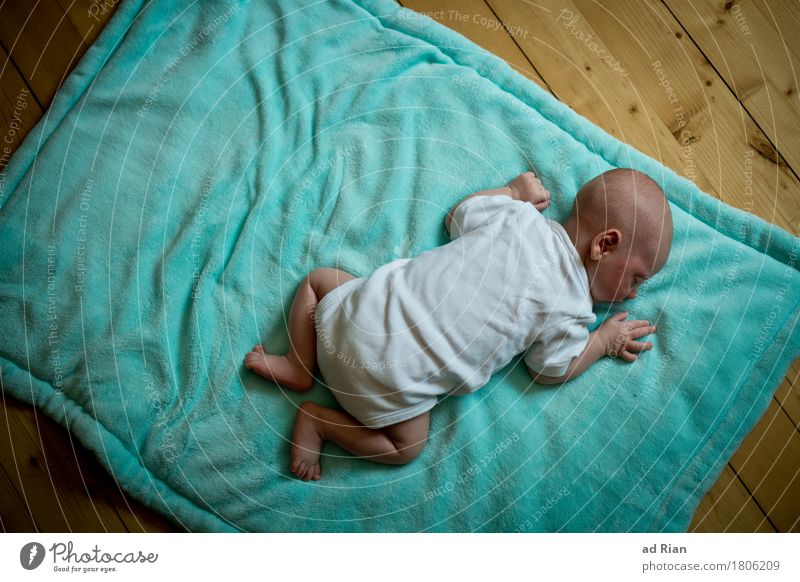 worm's-eye view Relaxation Human being Masculine Androgynous Baby 1 0 - 12 months Ground Blanket Breathe Lie Sleep Happiness Curiosity Crawl Colour photo