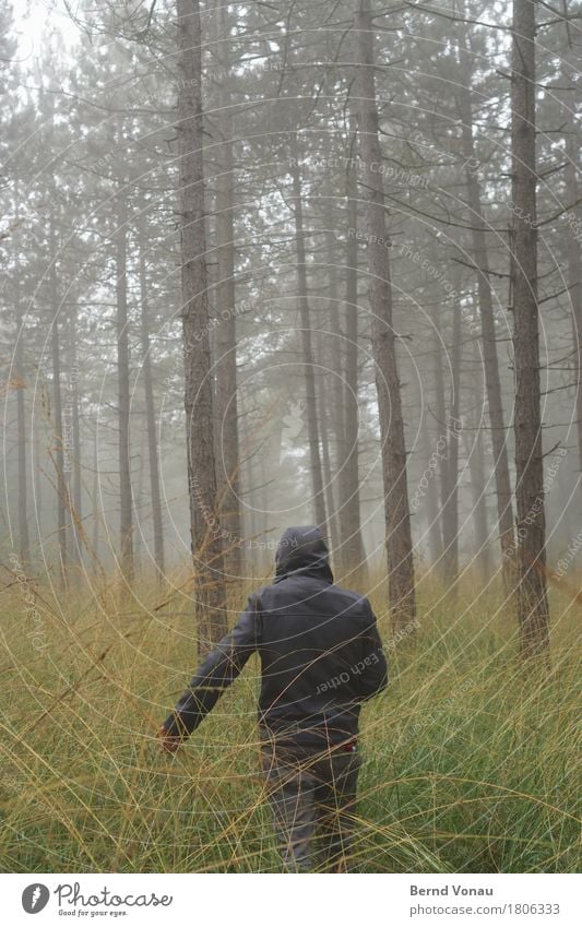 /|| 1 Human being Going Forest To go for a walk Bad weather Green Autumn Tree Pine Thin Tall Loneliness Meditative Weather protection Hooded (clothing) Grass