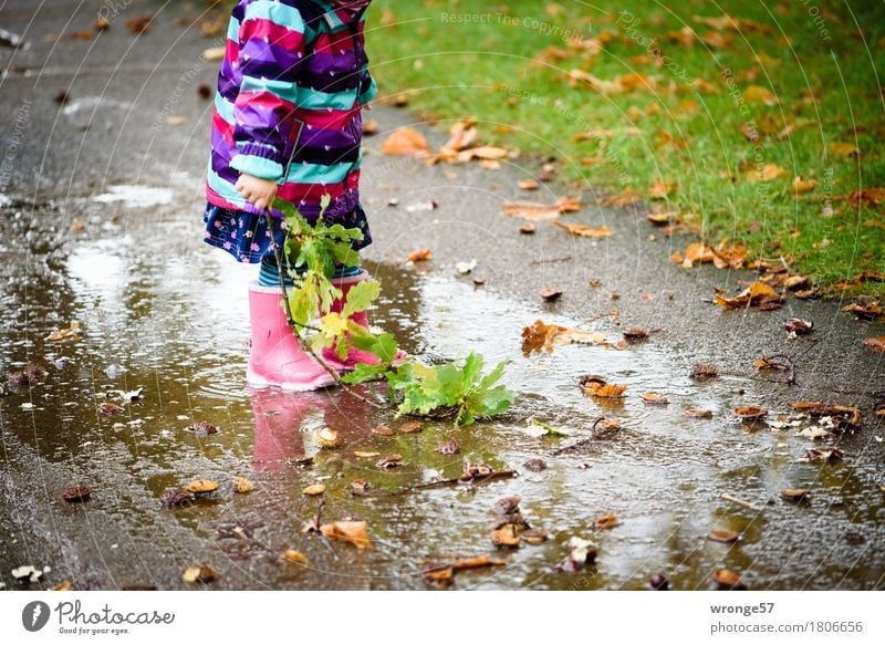 Regentrude II Trip Human being Child Toddler Girl 1 1 - 3 years Autumn Park Playing Wet Multicoloured Joy Autumnal Rain Puddle Reflection Dank To go for a walk