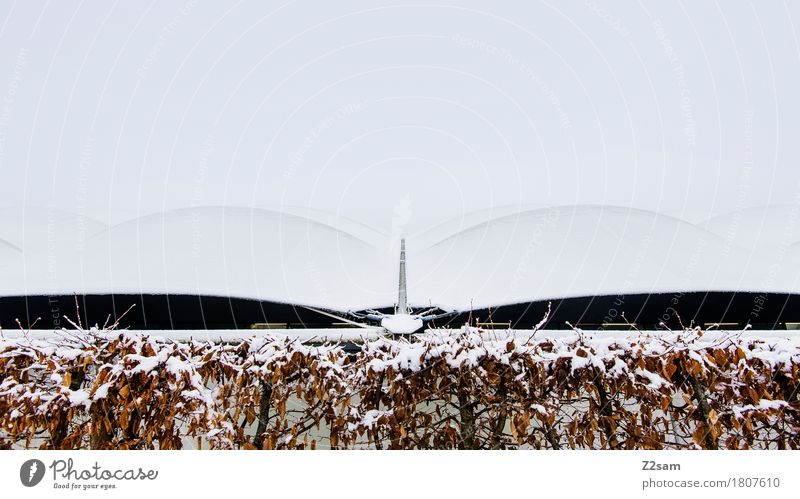 modern hills Winter Landscape Bad weather Ice Frost Snow Bushes Esthetic Simple Cold Modern Gloomy White Design Uniqueness Surrealism Symmetry Roof