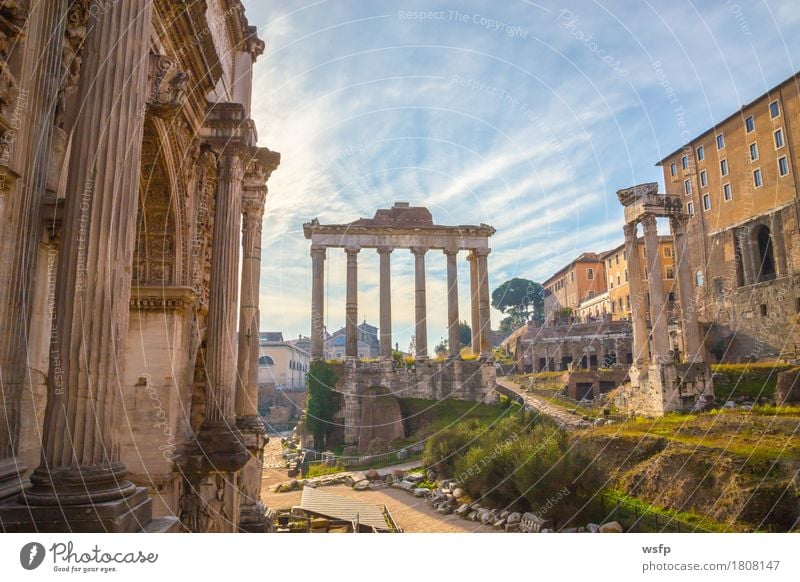 forum romanum in rom panorama Tourism Town Old town Architecture Historic Forum Romano United States Capitol palatine esquiliin Rome History of the Italy travel