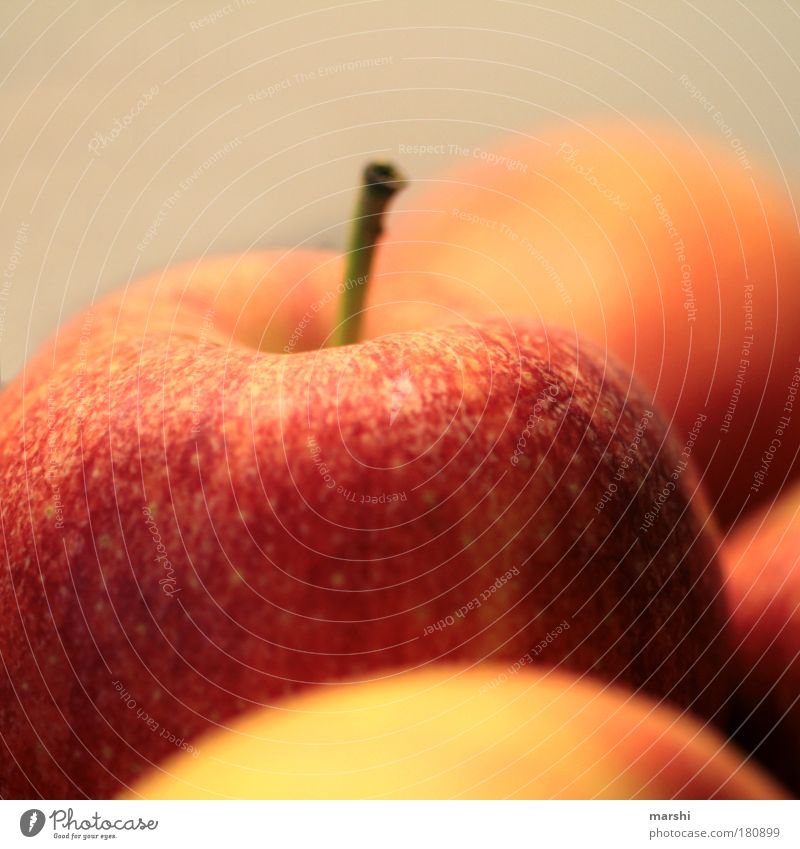 an apple a day keeps the doctor away! Colour photo Close-up Detail Blur Shallow depth of field Food Fruit Apple Nutrition Organic produce Fasting Beautiful