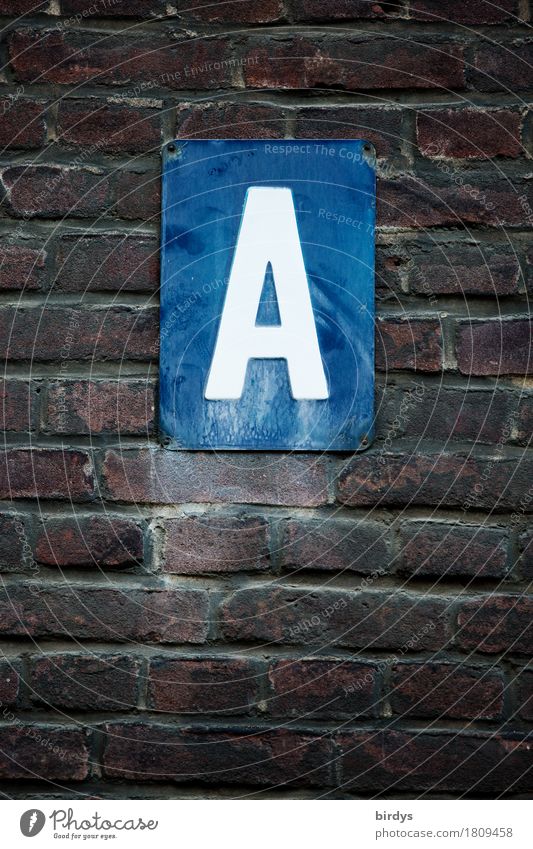 anything is possible Wall (barrier) Wall (building) Brick wall Characters Signs and labeling Old Authentic Dark Blue Brown White Beginning Letters (alphabet)