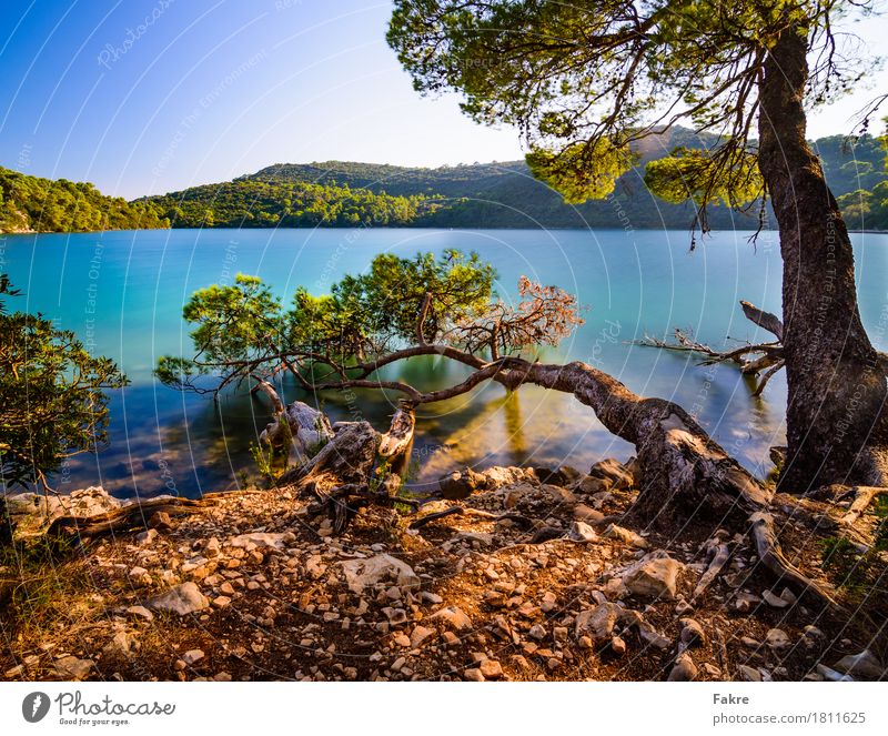 Mljet Natinal Park Environment Nature Landscape Plant Sand Air Water Sky Cloudless sky Summer Weather Beautiful weather Lakeside Bay Ocean Island Happy