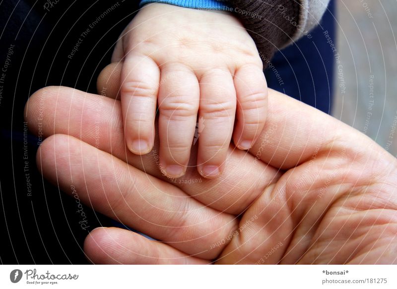 papa and I Happy Human being Masculine Baby Man Adults Father Family & Relations Skin Hand Fingers 2 0 - 12 months Touch To hold on Large Small Near Warmth