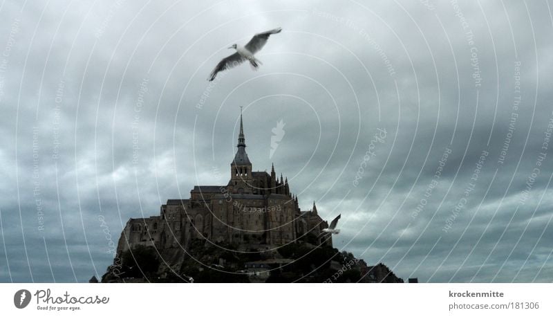sightseeing flight Bad weather Storm France Manmade structures Architecture Monastery Tourist Attraction Landmark Mont St. Michel Animal Bird Wing Pigeon 2