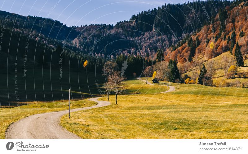 Black Forest in autumn Leisure and hobbies Tourism Trip Freedom Mountain Hiking Nature Autumn Tree Grass Meadow Field Hill Lanes & trails Movement Discover