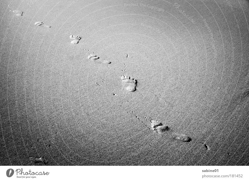 Traces in the sand Black & white photo Exterior shot Deserted Twilight Light Shadow Contrast Bird's-eye view Vacation & Travel Tourism Freedom Summer Sun Beach