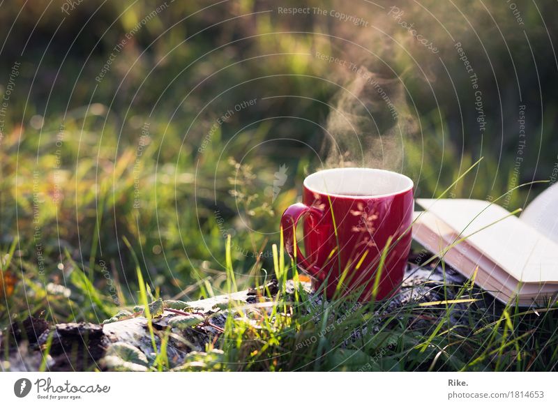 Autumn love. Leisure and hobbies Vacation & Travel Trip Adventure Summer To enjoy Dream Contentment Warm-heartedness Calm Cup Drinking Reading Book Nature