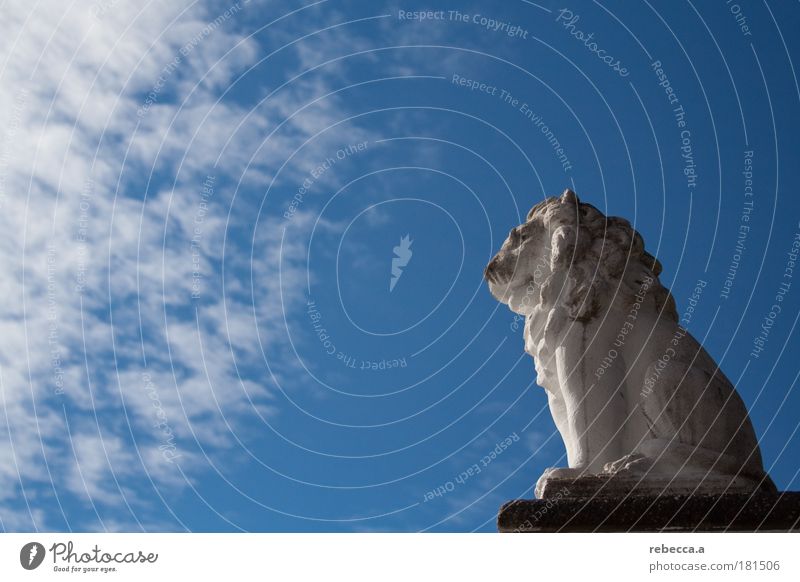 Lion King Colour photo Exterior shot Copy Space left Day Sunbeam Central perspective Full-length Profile Forward Sculpture 1 Animal Stone Observe Think Discover