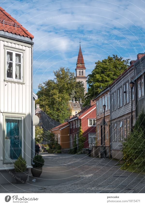 nordic living Beautiful weather Tree Trondheim Norway Europe Old town House (Residential Structure) Church Building Living or residing Wooden house Scandinavia