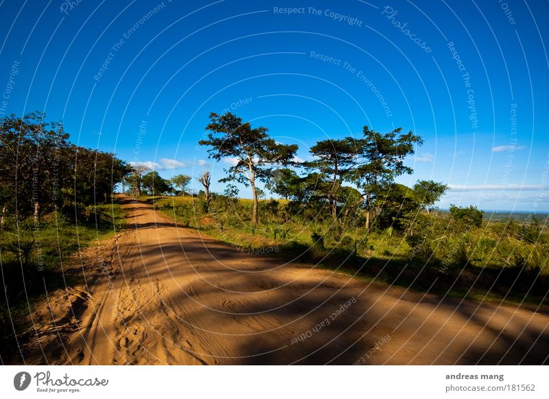 It's a long way home Colour photo Exterior shot Day Light Shadow Wide angle Vacation & Travel Safari Environment Nature Landscape Earth Sand Sky Summer Weather