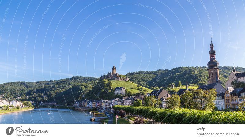 Cochem town on the Moselle Panorama Summer River Town Castle Idyll panorama reichsburg Moselle valley Bunch of grapes Vine Eifel Rhineland-Palatinate