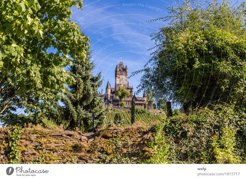 Reichsburg in Cochem on the Moselle Summer River Town Castle Idyll panorama reichsburg Moselle valley Bunch of grapes Vine Eifel Rhineland-Palatinate