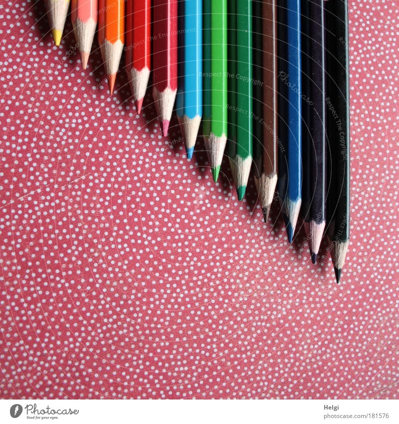 Crayons lie on a red-white dotted background Colour photo Multicoloured Interior shot Detail Deserted Copy Space left Copy Space bottom Bird's-eye view