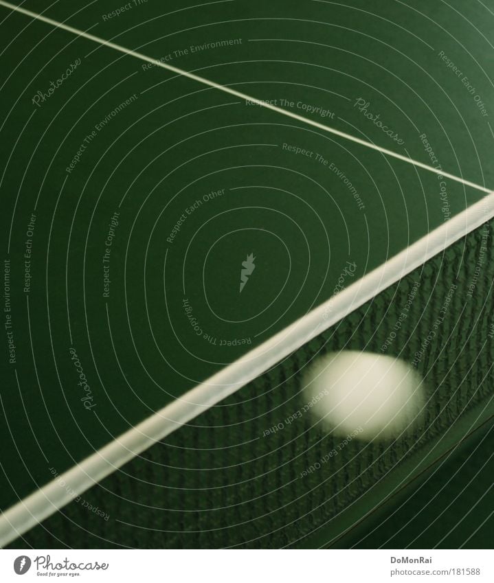Pong? Ball Sporting event Line Stripe Net Flying Esthetic Sharp-edged Elegant Clean Speed Green White Endurance Success Competition Fiasco Sports Table tennis