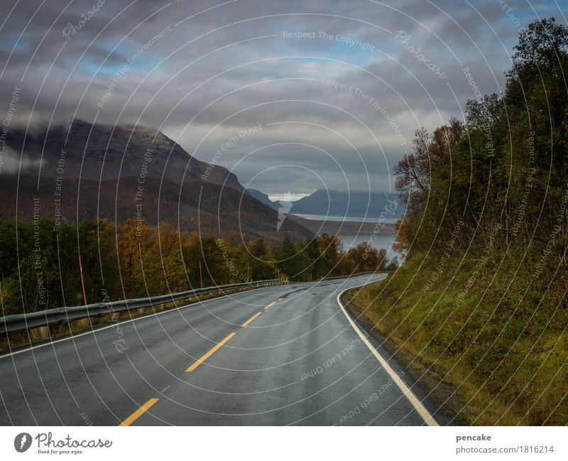 Drive, drive, drive, monotonously. Nature Landscape Elements Water Sky Clouds Autumn Forest Mountain Fjord Street Running Utilize Observe Driving Watchfulness