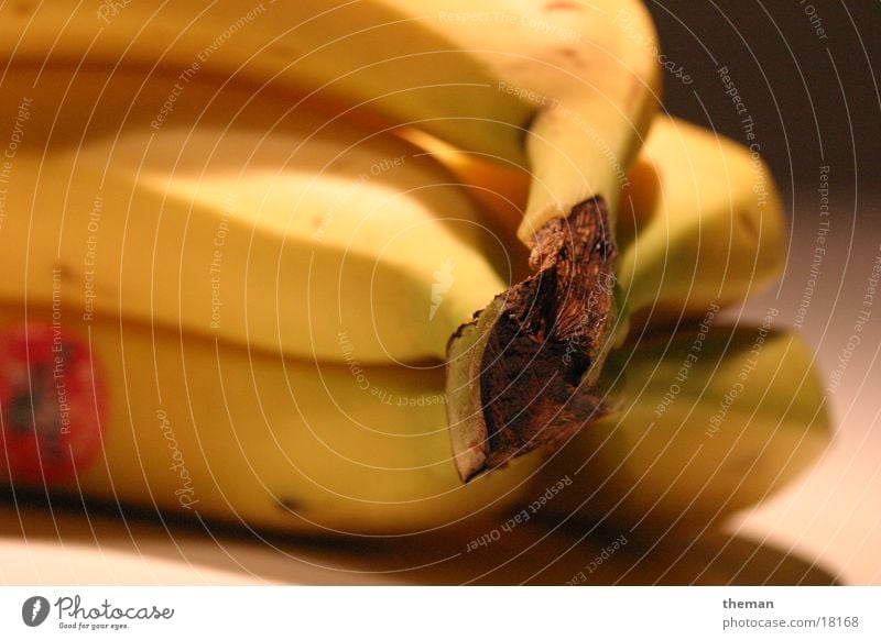 banana slugs Banana Healthy banana tuft