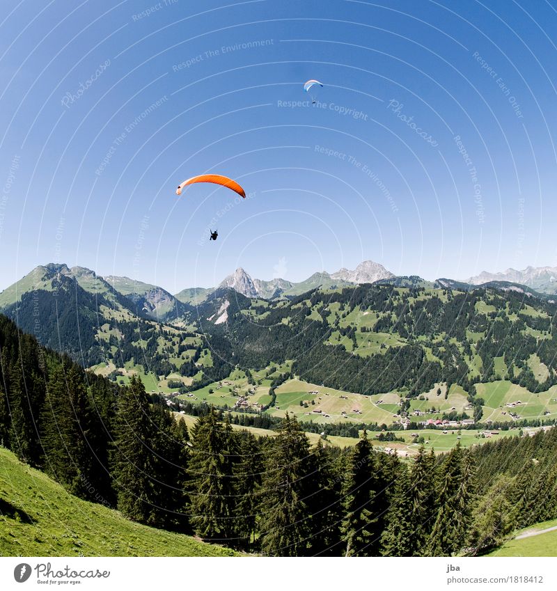 Paragliders in Gstaad Lifestyle Harmonious Contentment Calm Leisure and hobbies Trip Freedom Mountain Sports Paragliding Sporting Complex Nature Landscape