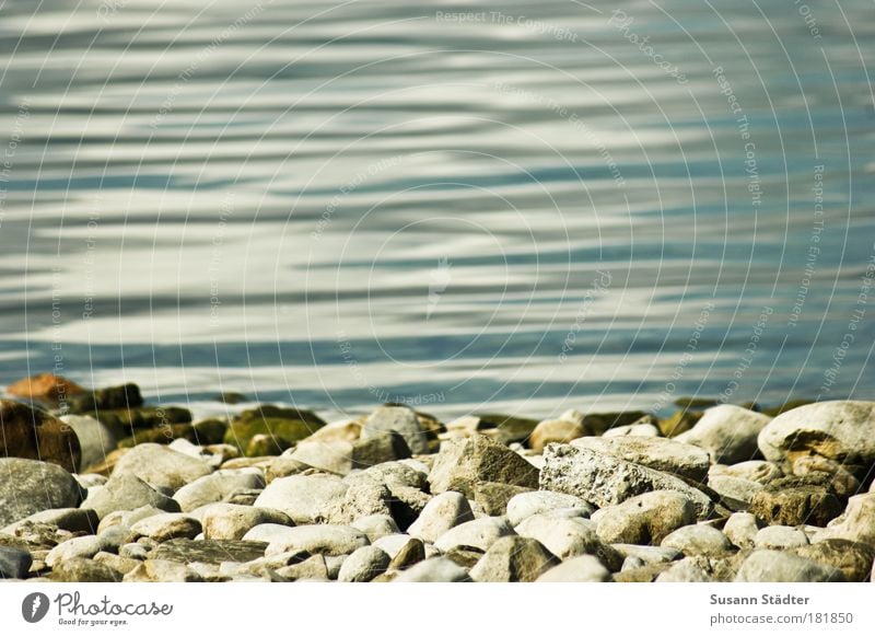 stone edge of Lake Constance Subdued colour Exterior shot Deserted Copy Space top Copy Space bottom Copy Space middle Day Sunlight Nature Summer Waves Coast