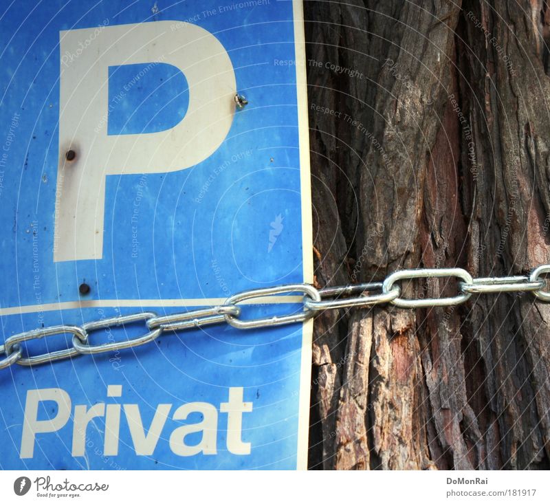 private tree Tree Wood Metal Characters Signs and labeling Signage Warning sign Old To dry up Dry Blue Brown White Fear of the future Culture Sustainability