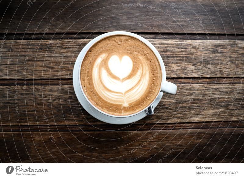 it's time Food Nutrition Beverage Drinking Hot drink Coffee Latte macchiato Cup Harmonious Well-being Contentment Relaxation Calm To enjoy Colour photo