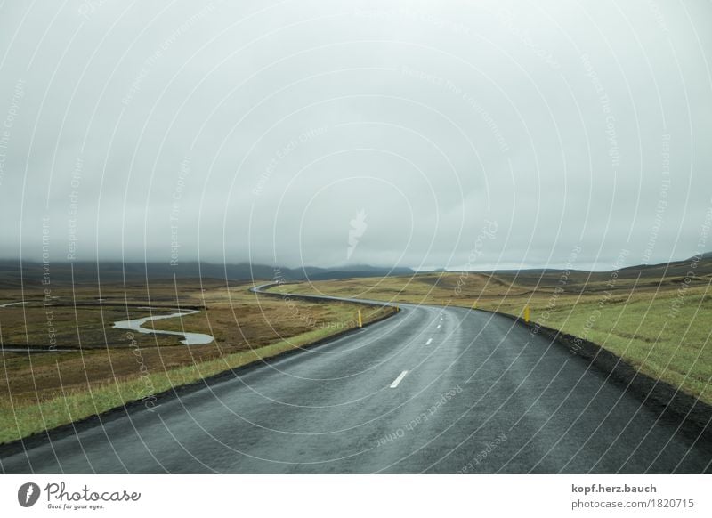 Free ride Landscape Clouds Iceland Motoring Street Lanes & trails Driving Gloomy Gray Green Adventure Beginning Loneliness End Apocalyptic sentiment Freedom