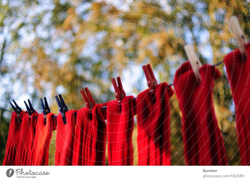 Red socks Colour photo Multicoloured Exterior shot Detail Deserted Copy Space left Copy Space top Day Twilight Light Shadow Contrast Blur Shallow depth of field