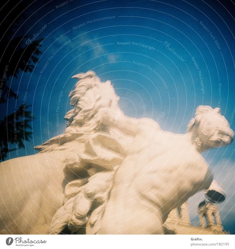 [WTCD] White fighters Exterior shot Blur Museum Sculpture Stone Fight Statue Marble Vienna Horse Pouva Lomography Sky Blue Day