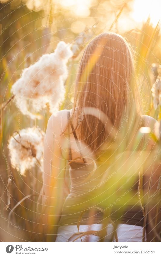 Hiding in the reeds Beautiful Hair and hairstyles Well-being Calm Meditation Sun Human being Feminine Young woman Youth (Young adults) Woman Adults